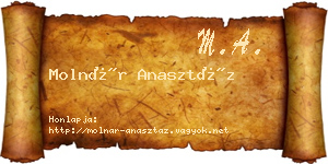 Molnár Anasztáz névjegykártya